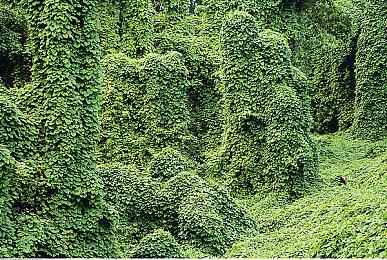 三款开罗经营模拟新游在Steam正式发售 首发享折扣