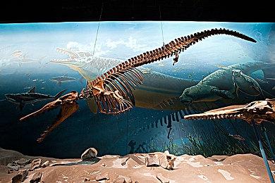 黑曜石新RPG《宣誓》概念图 英雄面对怪物毫不畏惧